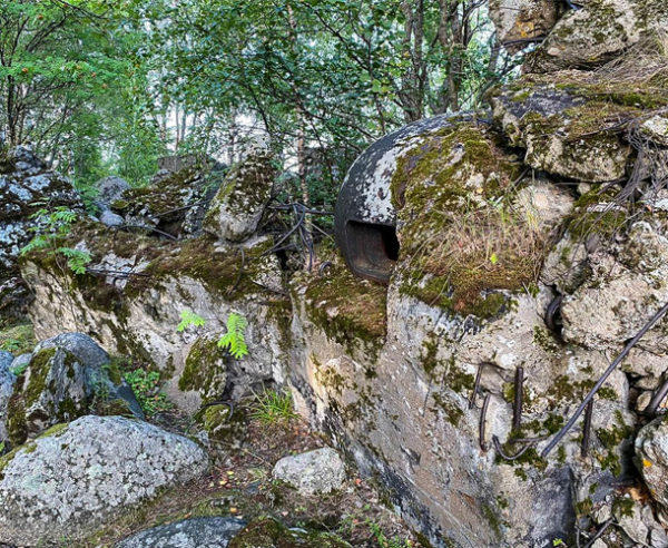 На катере прогулка по Петрозаводскому заливу и пикник на Ивановском острове