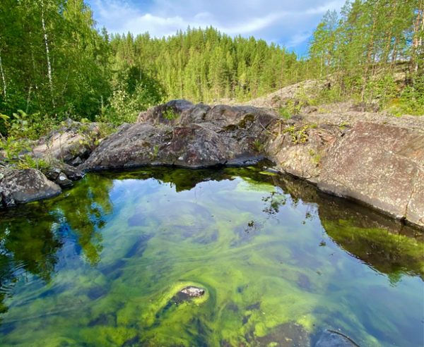 Гора Сампо + Марциальные воды + вулкан Гирвас + водопад Кивач