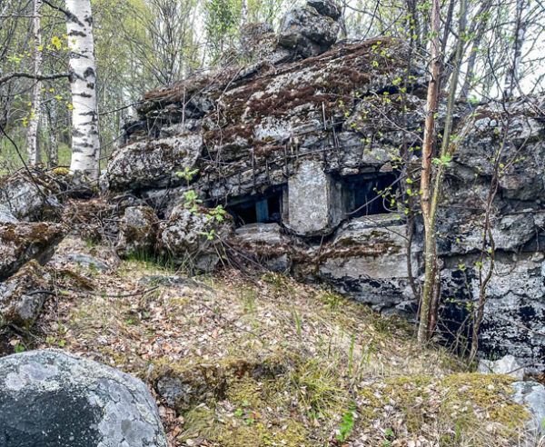 На катере прогулка по Петрозаводскому заливу и пикник на Ивановском острове