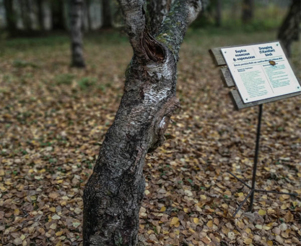 Золотое кольцо Карелии